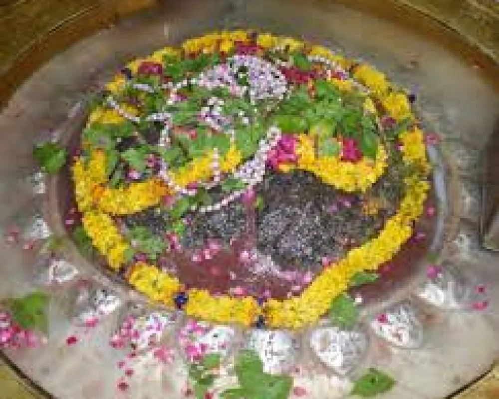 Shri Nageshwar Nath mahadev mandir