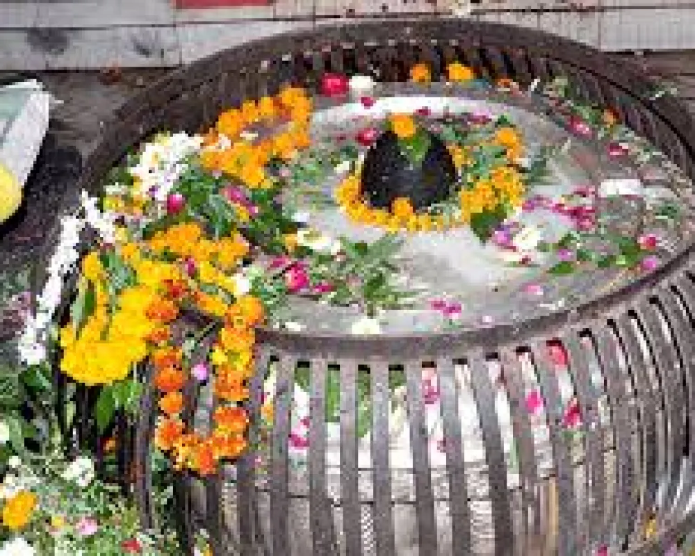 Shri Nageshwar Nath mahadev mandir